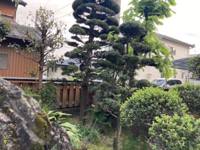 新築は何月に建てるのがベストなのか？（補助金編）
