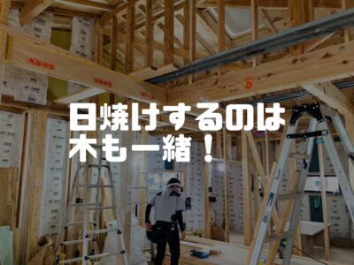 木も日焼けします