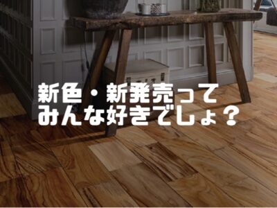 出たばっかりの新色をお勧めです！（コーディネート打合せ）