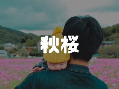 コスモス畑に行ってきました～ほわほわ