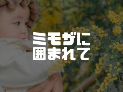 落葉樹と常緑樹の違い