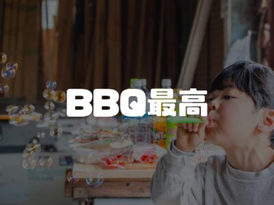 松ぼっくり戦争はそのうち条例で禁止されるかもしれません