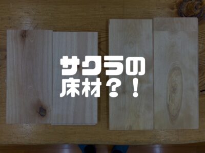 バーチ（カバ桜）の床材について知ろう！