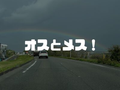 虹にも木にもオスとメスがある！！