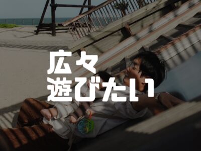 めちゃくちゃ楽しそうな家庭用遊具（外用）を見つけた