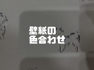 壁紙の色打合せ