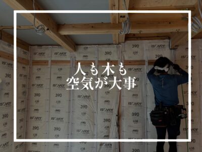 木が腐ってしまう腐朽菌についての情報を布教
