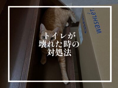 トイレ交換の時間でございます！