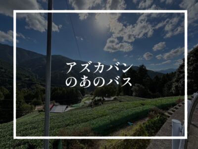 山道はやさしく、飛ばしていこう