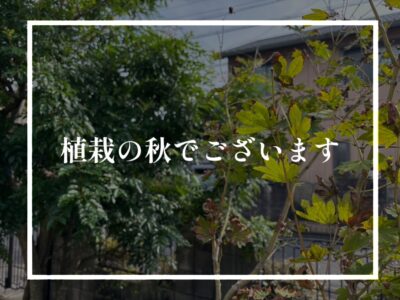 植栽の秋ですのでお庭のお手入れしませんか？