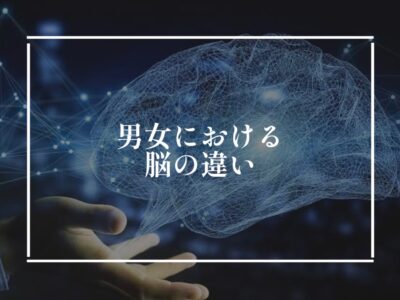 男性脳と女性脳の違いについて
