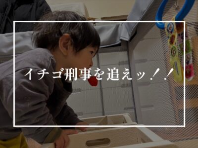 木の家と鉄の家、健康に暮らせるのはどっち？