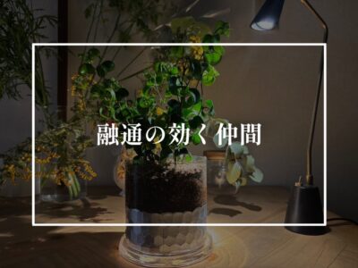 融通の利く関係性はお互いがイーブンであってこそ！