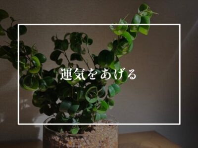 風水って？