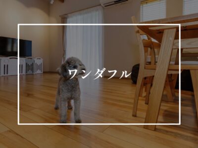 嬉しい報告と嬉しくない暴露話