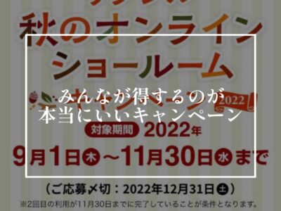こんな場合のお得情報にはのっかっても大丈ブイ