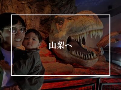 山梨へ来ていますん