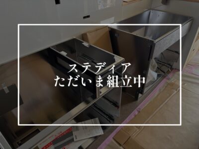 ステディア（キッチン）を丸裸に