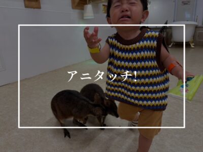 動物に触れあおう！