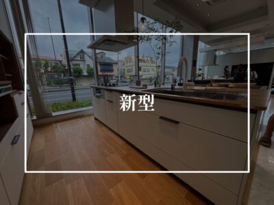 天然木を使った新型ステディア？！