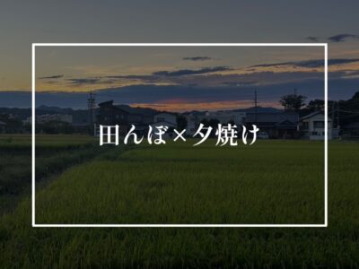 田んぼの横の土地はどうなの？